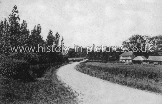 Lodge Farm, Ramsden Heath, Essex. c.1920's